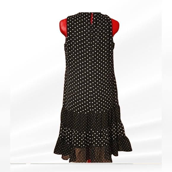 DARLING POLKADOT CHIFFON DRESS - Picture 5 of 7